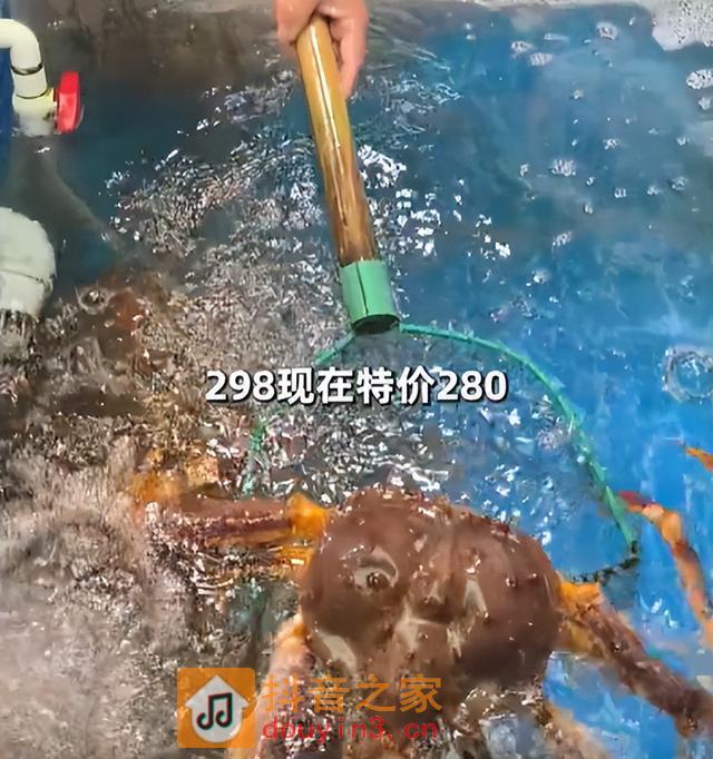 十万买你一条腿，抖音靠打假爆红的铁秤哥，被海鲜高启强公开悬赏