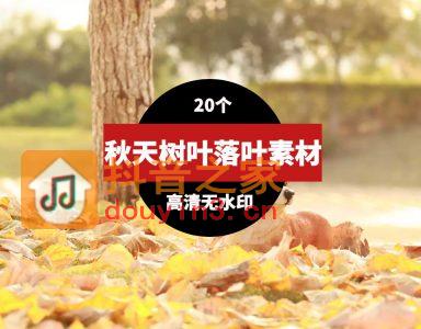 秋天树木落叶高清短视频素材,素材,视频,时长,数量,号,P,量,第1张