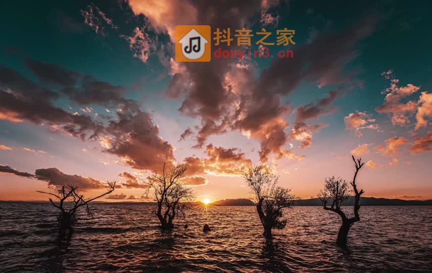 云南昆明滇池王官湿地公园短视频素材